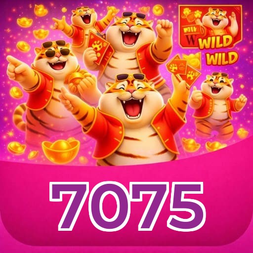 Níveis do programa VIP da 7075